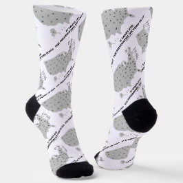 Für den Sieg des Präsidenten im Jahr 2024 sind 270 Socken
