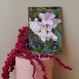 Für den Tag der Schwiegertochter Karte