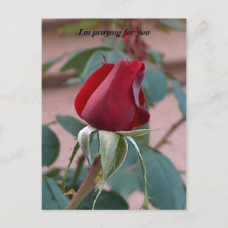 für dich beten postkarte