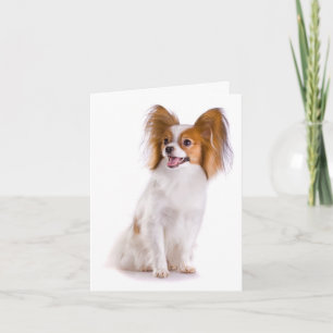 Für Dich Papillon Welpen Hund Karte