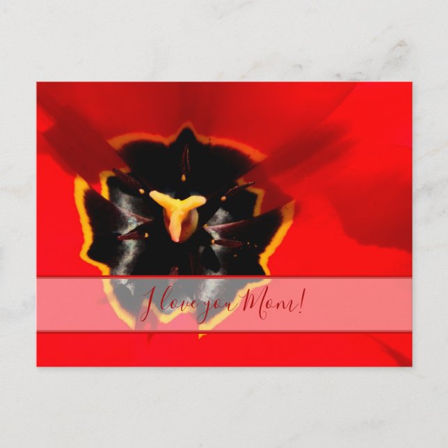 Für die beste Mami der Welt! Postkarte (Vorderseite)