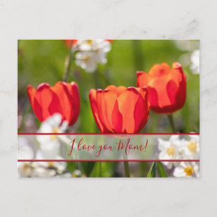 Für die beste Mami der Welt! Postkarte