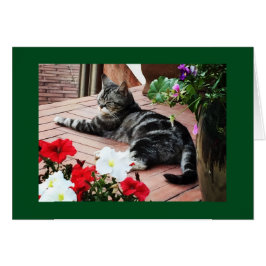 Für die Fans weltweit!