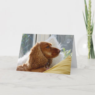 Für die Liebe von Hunden Karte