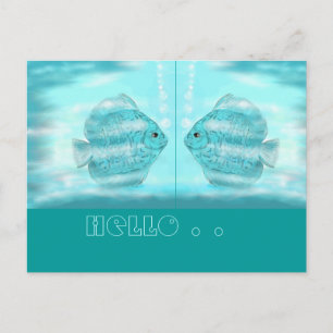 Für Discus-Freunde...Postkarte Postkarte