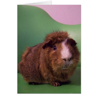 Für einen ausgezeichneten Herrn