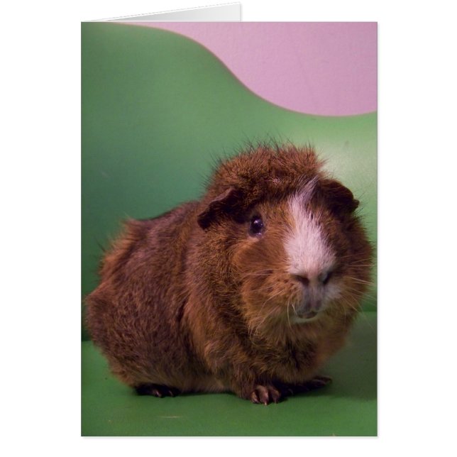 Für einen ausgezeichneten Herrn (Vorne)