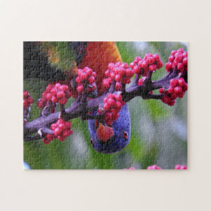 Für einen kleinen Imbiss einspringen - Rainbow Lor Puzzle