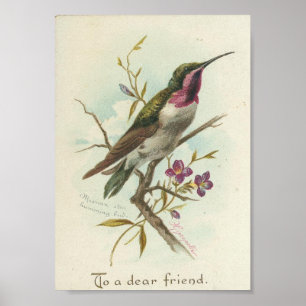 Für einen lieben Freund, Vintagen Hummingbird Poster