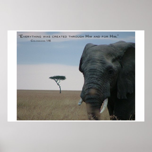 Für ihn geschaffen poster (Vorne)