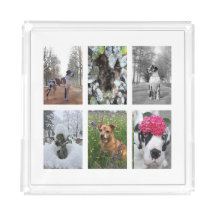 Für Ihre besten großartigen Dog-Fotografien Trivet