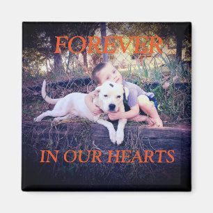 Für immer Erinnerungsmagnet (Haustier-Zusatz) Magnet