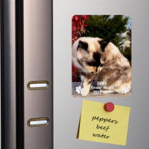 Für immer fehlendes Pet Memorial Modernes Foto Cus