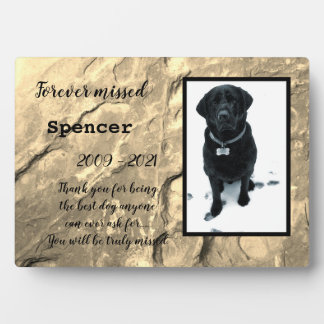 Für immer fehlte Tabletop Plaque mit Easel Fotoplatte