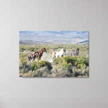 Für immer frei laufen