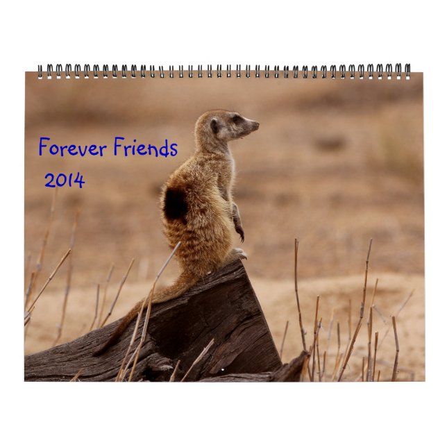 Für immer Freunde - FKMP 2014 Kalender (Titelbild)