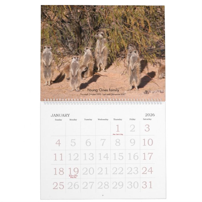 Für immer Freunde - Meerkat Kalender (Jan 2026)