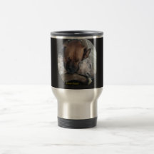 Für immer Freunde