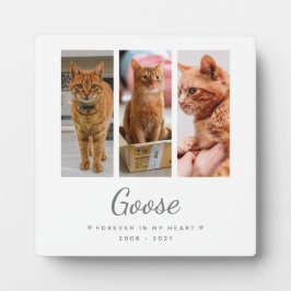 Für immer in meinem Herzen Pet Memorial Geschenk P Fotoplatte