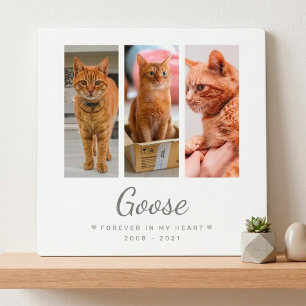 Für immer in meinem Herzen Pet Memorial Geschenk P Fotoplatte