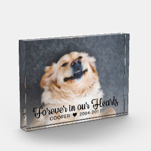 Für immer in unserem Hearts Pet Memorial Foto