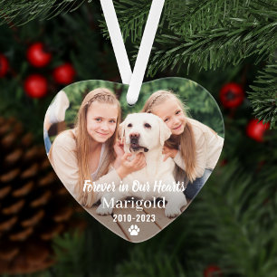 Für immer in unserem Hearts Pet Memorial Foto Keep Ornament