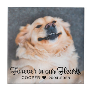 Für immer in unserem Hearts Pet Memorial Foto Plaq Fliese