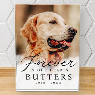 Für immer in unserem Hearts Pet Memorial Modern Fotoblock