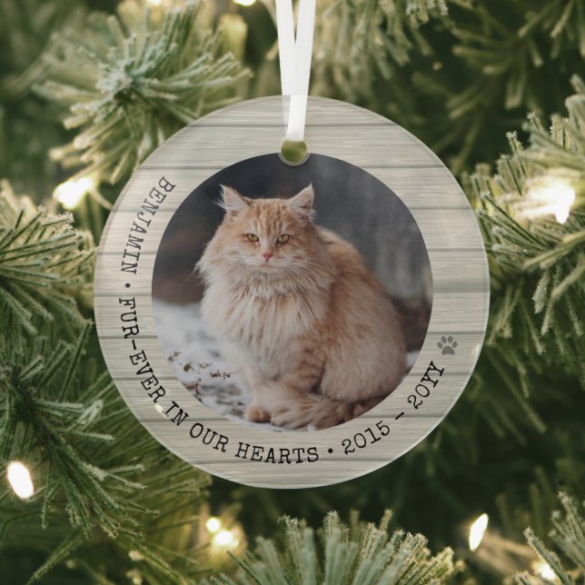 Für immer in unserem Herz Cat Foto Pet Memorial Ornament Aus Glas (InSitu)
