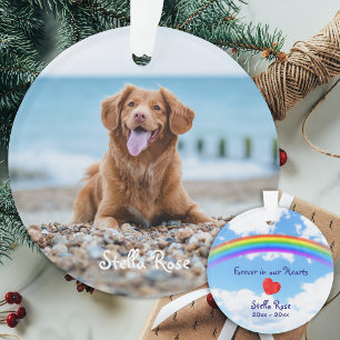 Für immer in unserem Herzen - Rainbow Bridge Pet M Ornament