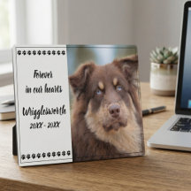 Für immer in unseren Herzen Hund Haustier Foto Eri