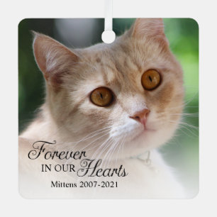 Für immer in unseren Herzen Katzenfoto Ornament Aus Metall