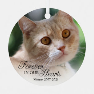 Für immer in unseren Herzen Katzenfoto Ornament Aus Metall