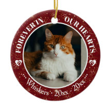 Für immer in unseren Herzen Katzenfoto- und Namens