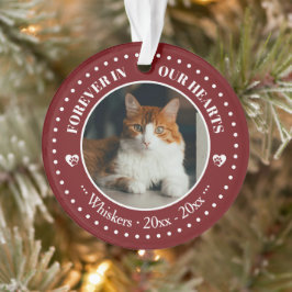Für immer in unseren Herzen Katzenfoto- und Namens Ornament