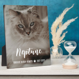 Für immer in unseren Herzen Name in Schrift Katze  Fotoplatte