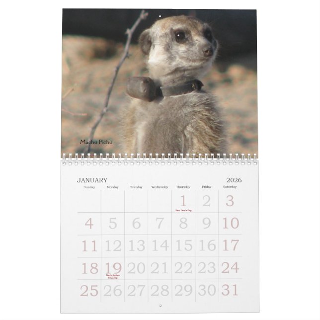 Für immer Legenden - Kalender (Jan 2026)