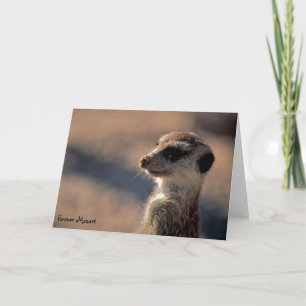 Für immer Mozart! Gruß-Karte Karte