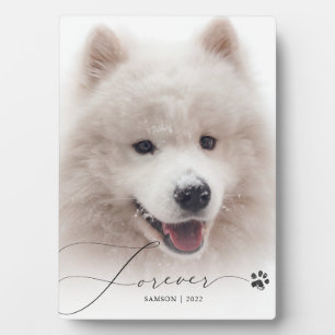 Für immer   Pet Memorial Custom Foto Dog Paw Print Fotoplatte