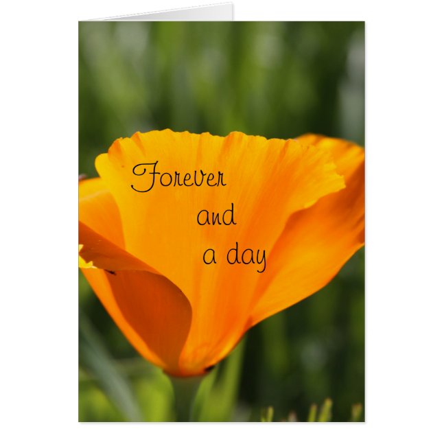 Für immer und einen Tag (Vorne)