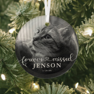 Für immer vermisste Foto-Pet-Katze-Gedenk- Ornament Aus Glas