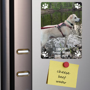 Für immer vermisste Haustier-Gedenkstätte Moderne Magnet