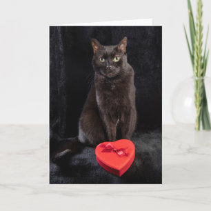Für jeden, der am Valentinstag glücklich ist, süße Feiertagskarte