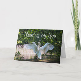 Für jemanden, der Terminalkarte ist Karte