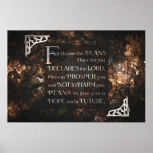 Für kenne mich die Pläne, die ich für Sie habe Poster