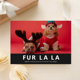 Fur La La Black Modern Pet Weihnachten Foto