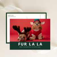 Fur La La Green Modernes Foto für Haustiere
