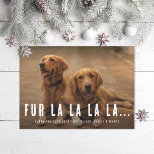 Fur La La La La La La Pet Dog Weihnachtsgebäck Fot Feiertagskarte