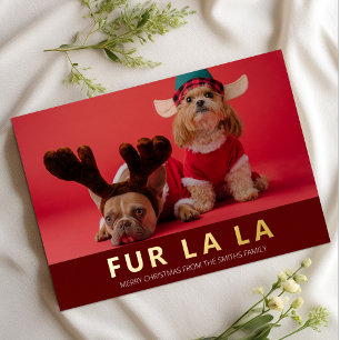 Fur La La Red Gold Modernes Pet Weihnachtsfest Fot Folien Feiertagskarte