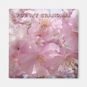 Für meine Oma! Magnet Rosa Baum Blüten